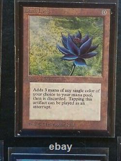 COMPLETE SET International Collector's Edition, MAGIC MTG, 1993, Near mint NM