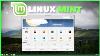 Complete Linux Mint Tutorial Installing U0026 Removing Applications