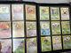 Pokemon Cards Complete Jungle Set 64/64 1999 Wotc Nm+